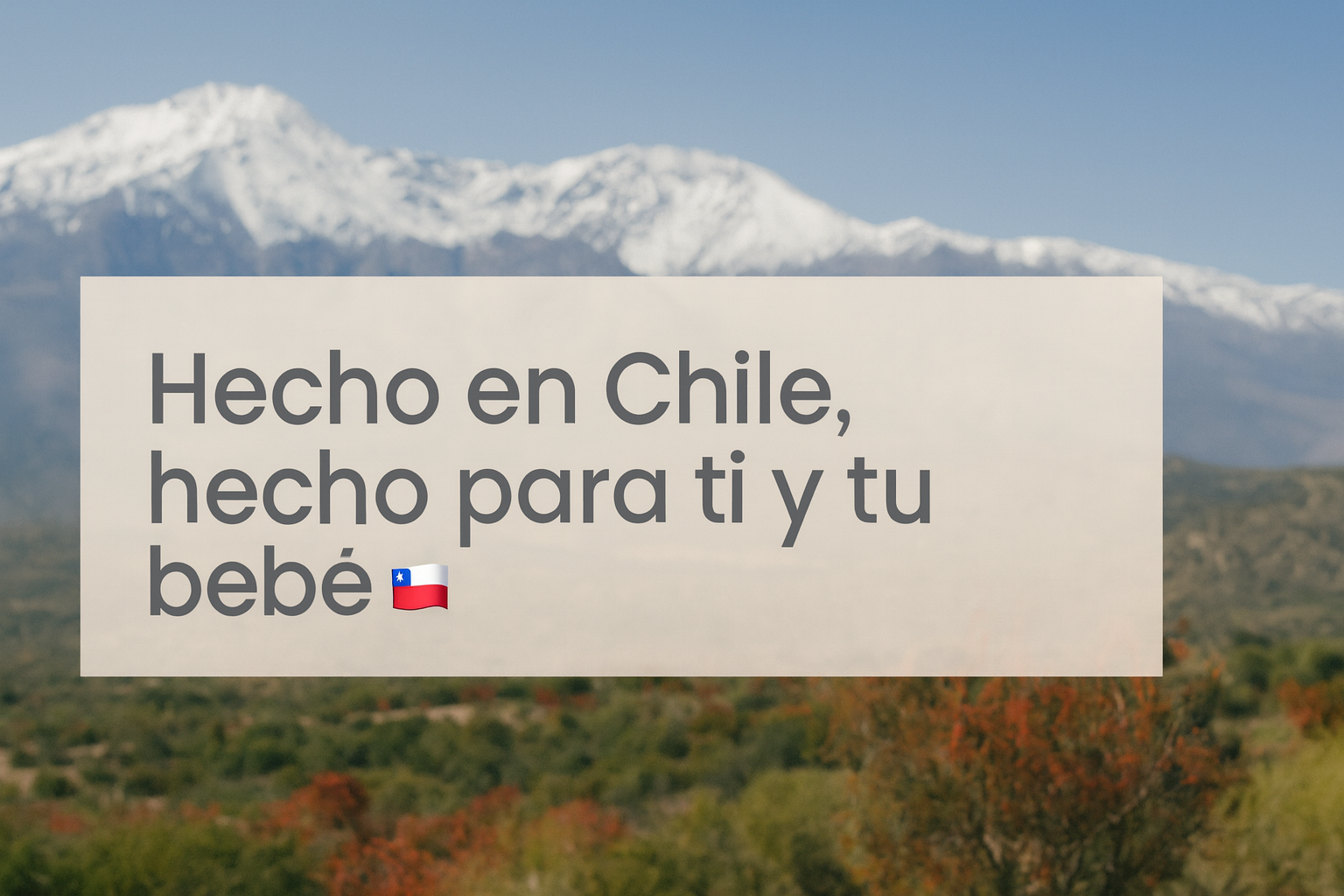 Hecho en Chile